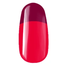 Royal Gel RT2 - 4,5ml főképe